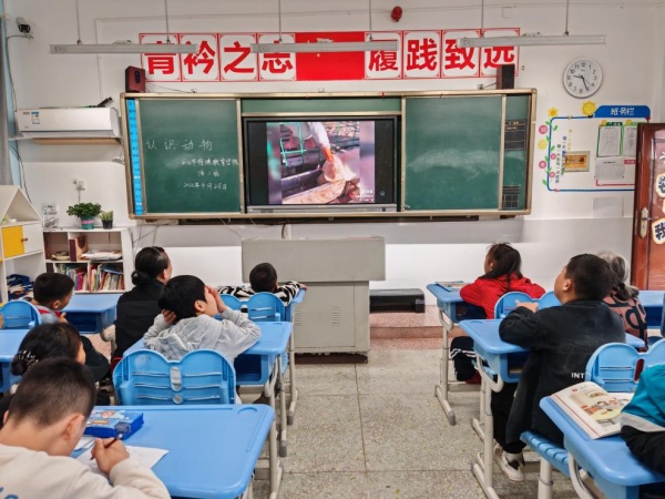 ͼƬ4.jpg