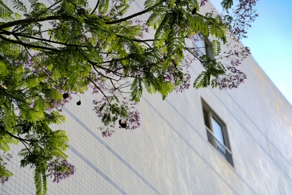 1747881425911619.jpg _DSC4831_副本.jpg