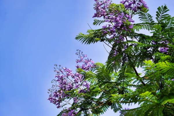 _DSC4825_.jpg