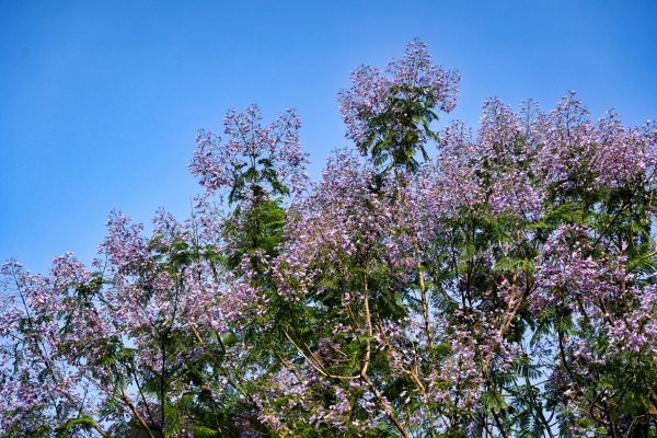 _DSC4833_.jpg