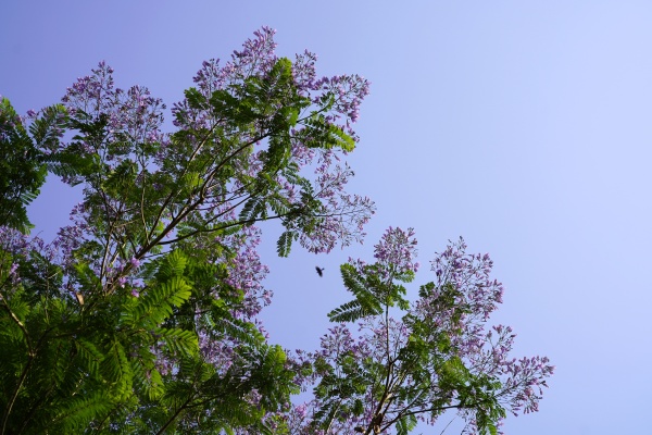 _DSC4857_.jpg