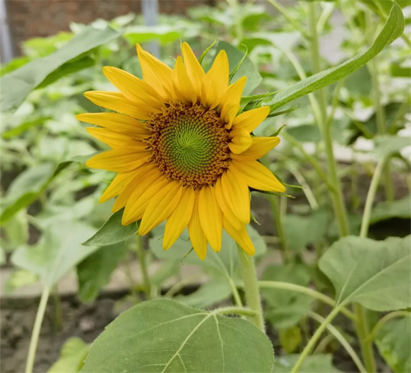 20250526_231000_1294.jpg