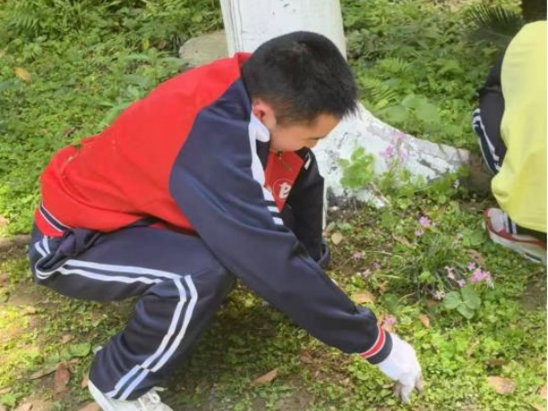 ͼƬ2.jpg