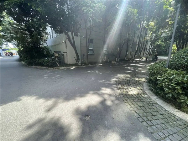 1753232671717.jpg