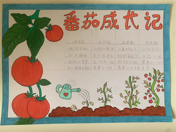image11.png