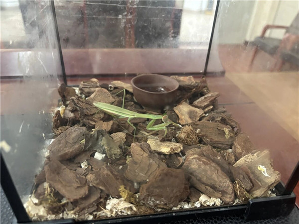 1758848732970980.jpg mmexport1758847122445.jpg