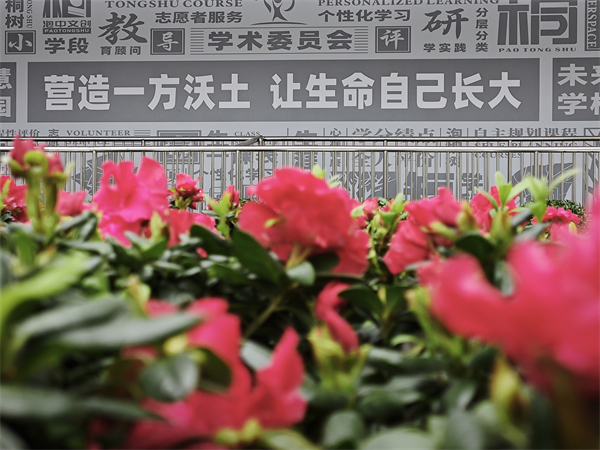 校园景色.jpg