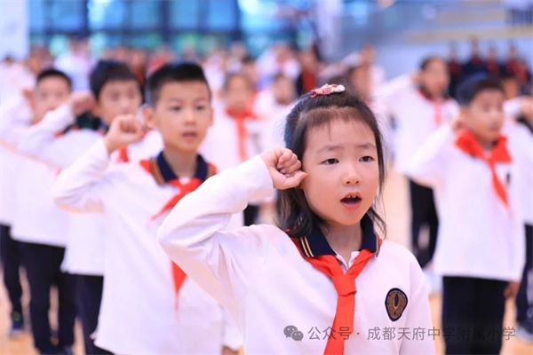 1760493225208877.jpg 20251015_000355_123.jpg