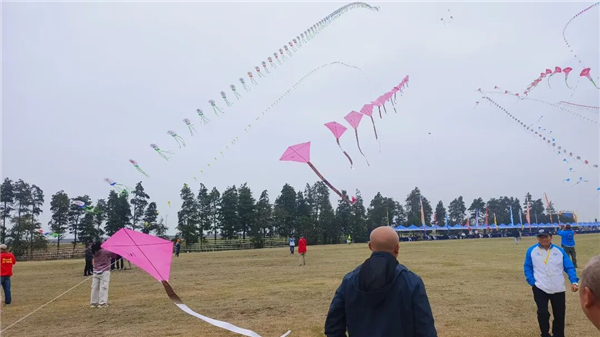 1761636810802658.jpg mmexport1761621556959.jpg