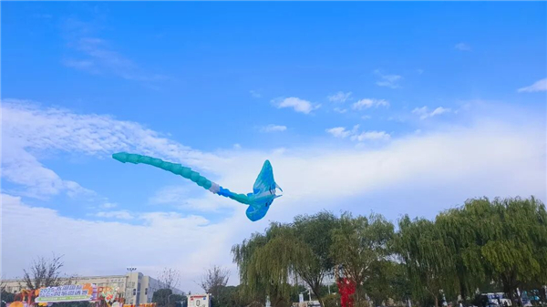 1761636813859672.jpg mmexport1761621563330.jpg