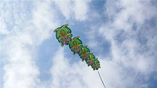 1761636817941936.jpg mmexport1761621572371.jpg