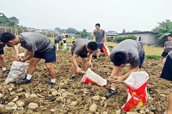 1761659293116994.jpg 22222.jpg