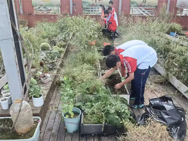 1761706511530639.jpg 20251028_231247_154.jpg