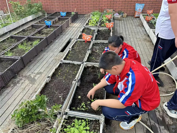 1761706530261415.jpg 20251028_231247_158.jpg