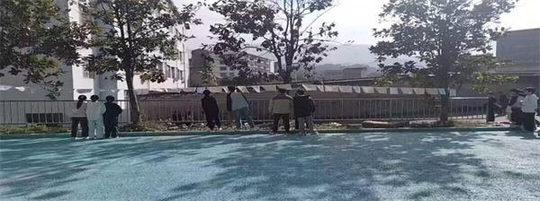 1761725584741768.png 图片62.png