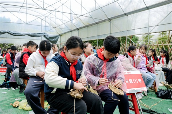 1761789883500826.jpg IMG_6753.JPG