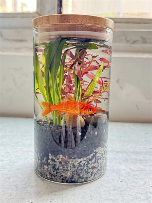 1761805075102122.png 1761805075102122.png