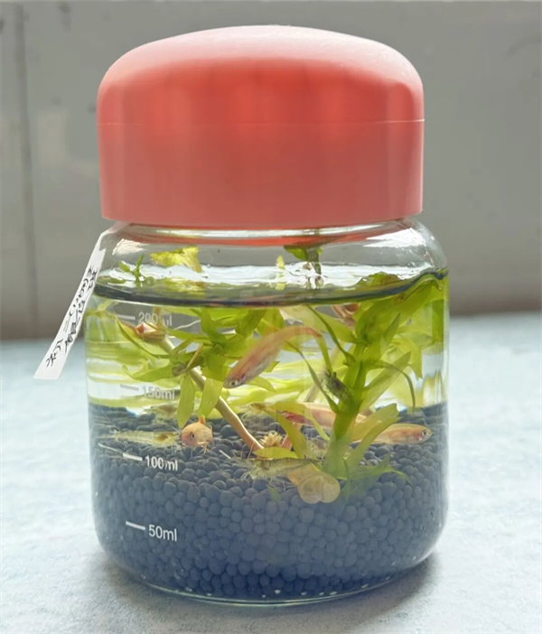 1761805075434457.png 1761805075434457.png