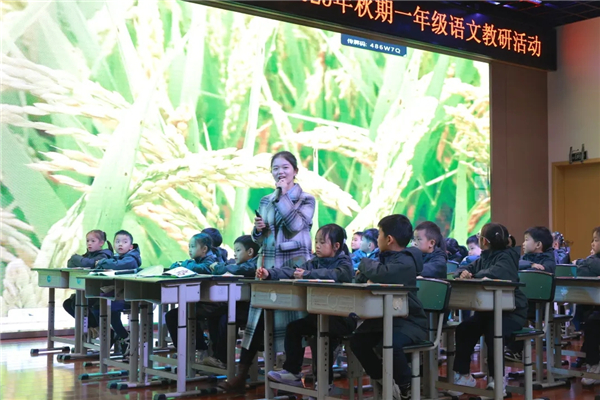 1762136267151641.jpg 20251102_204847_010.jpg