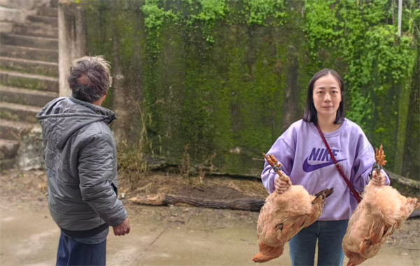 1762227124423391.png 892F0964@C67ADF5D.E546096900000000.png