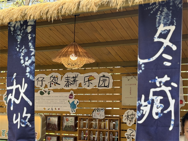 1762242503580686.jpg 1.jpg