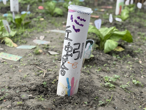 1762242508162086.jpg 2.jpg