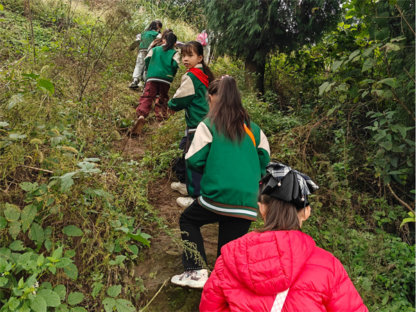 1762267450779127.jpg 1.JPG