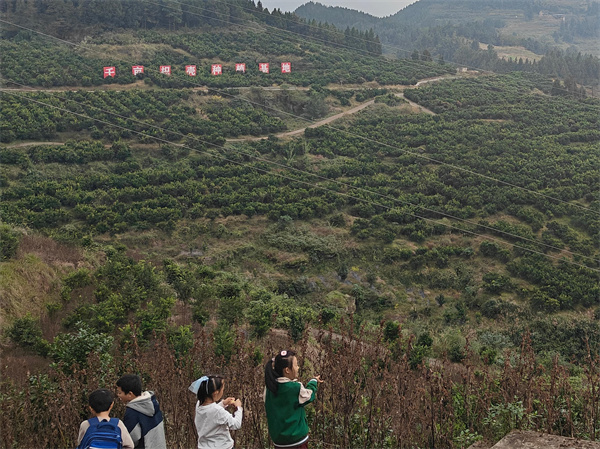 1762267472530774.jpg 8.jpg