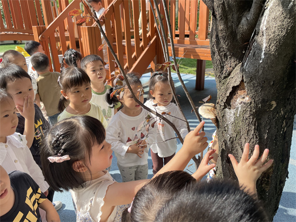 1762306114966246.jpg 图片2.jpg