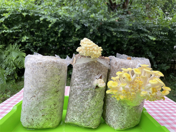 1762306160825388.jpg 图片18.jpg