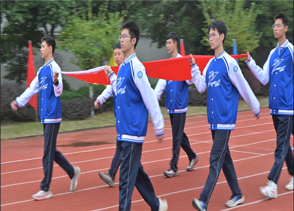 1762332914481995.png A2.png