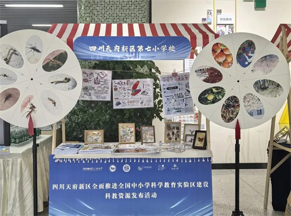 1762477493475575.jpg 20251106_233340_014.jpg