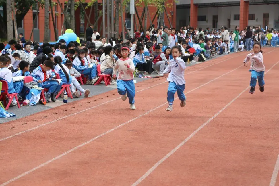 1762496307495638.jpg 1762496307495638.jpg