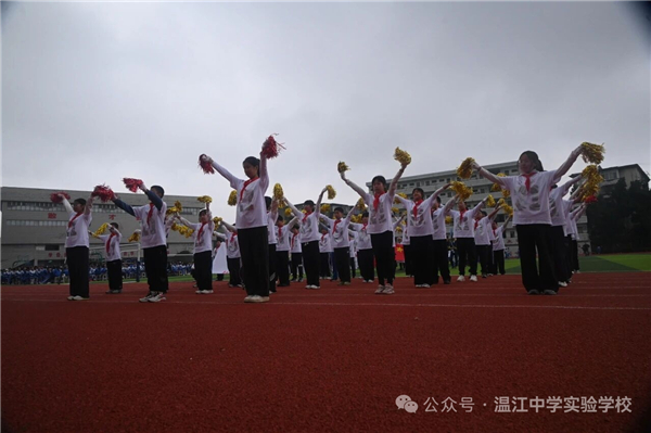 1762503431292409.jpg mmexport1762496826479.jpg