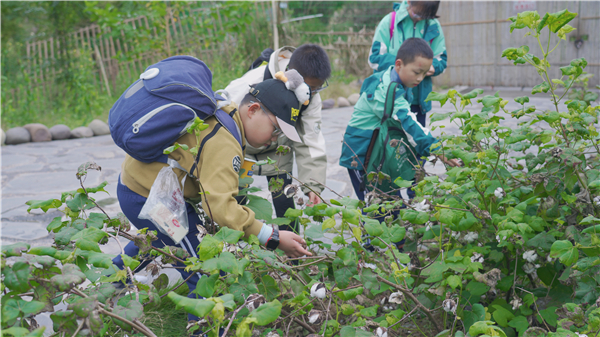 1762564499418319.jpg 9.jpg