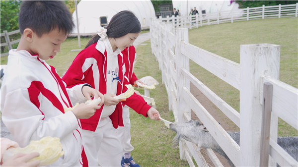 1762564644641767.jpg 13.jpg