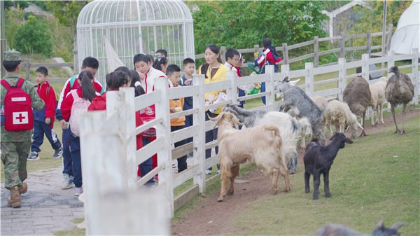 1762564651239508.jpg 21.jpg