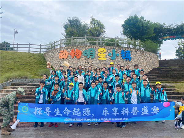 1762564982318771.jpg 3.jpg