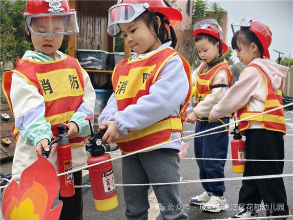 1762581125711254.jpg mmexport1762570595770.jpg