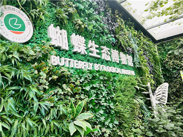 1762592682892934.jpg 2.jpg