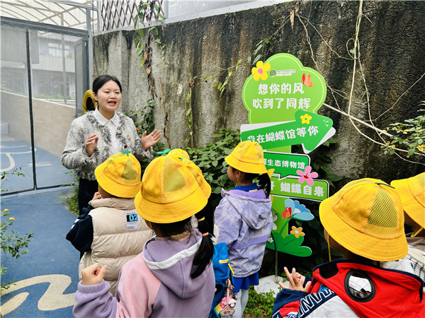 1762592697387554.jpg 3.jpg