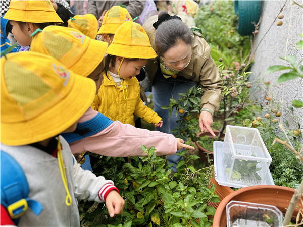 1762592701703672.jpg 4.jpg