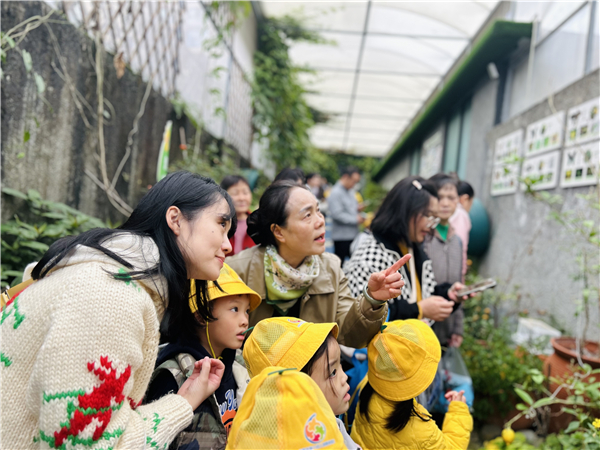 1762592704281792.jpg 5.jpg