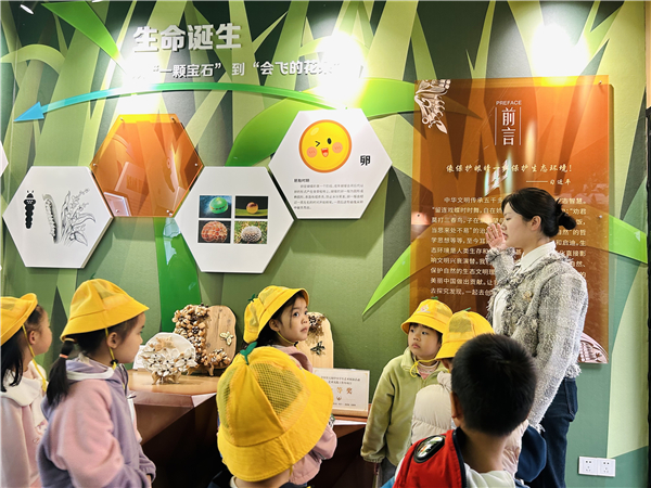 1762592720308083.jpg 7.jpg