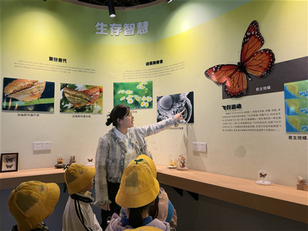 1762592807693606.jpg 8.jpg