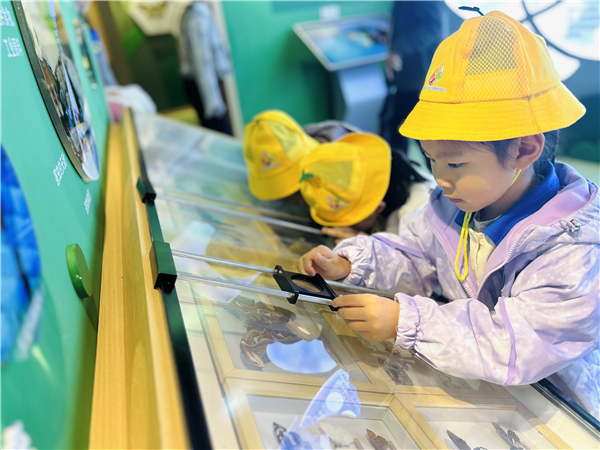 1762592826693713.jpg 11.jpg