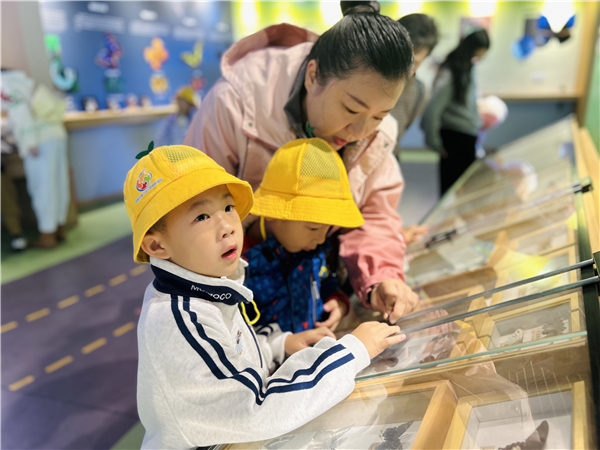 1762592832818408.jpg 13.jpg