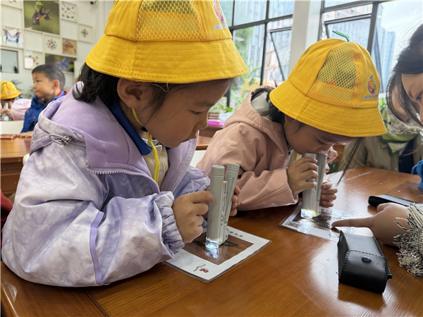 1762592855958346.jpg 17.jpg