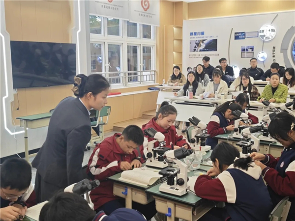 1762825212524883.jpg 20251110_233831_002.jpg