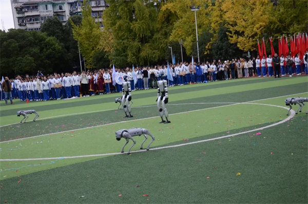 1763712967642300.jpg 20251120_220516_405.jpg